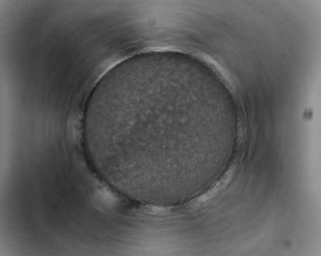 X0000102471361200808221633