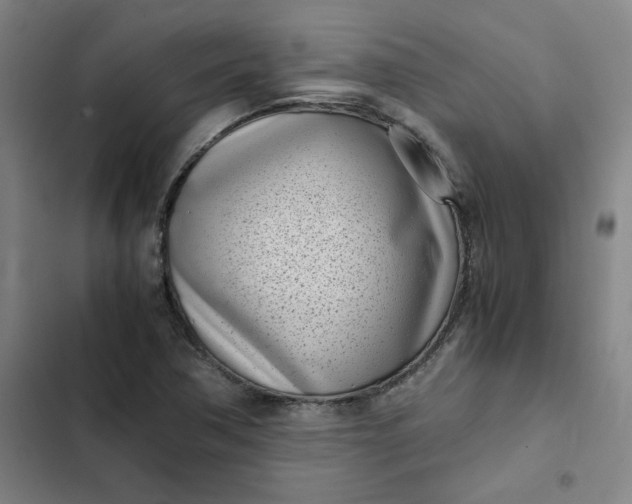 X0000102471362200808221633