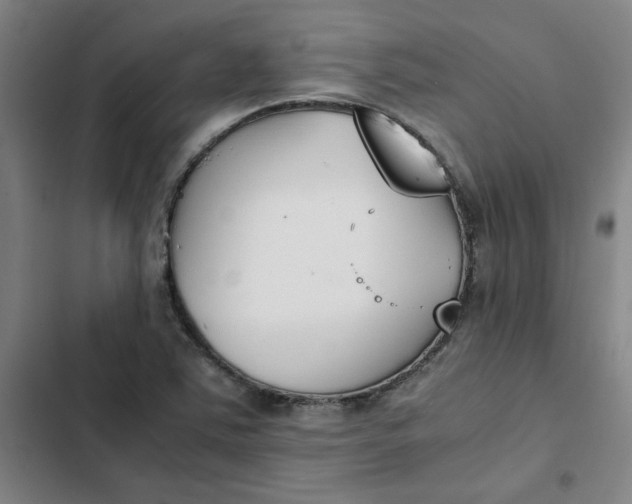 X0000102471363200808221633