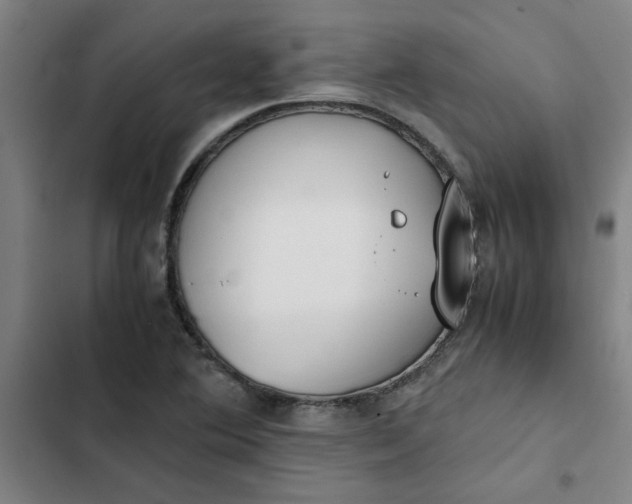 X0000102471364200808221633