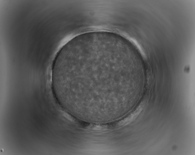 X0000102471365200808221633