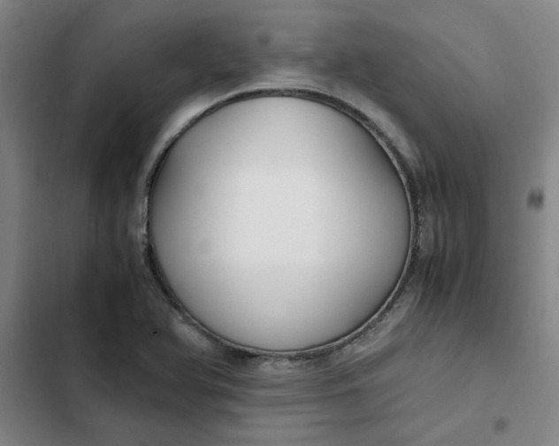 X0000102471366200808221633