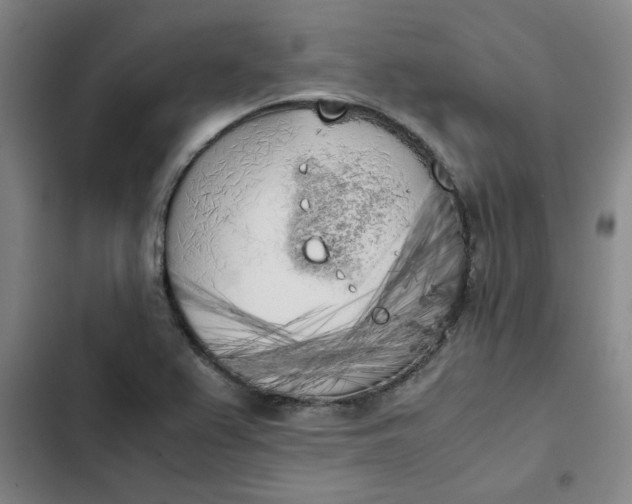 X0000102471367200808221633