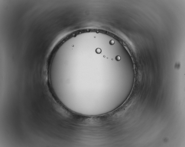 X0000102471368200808221633