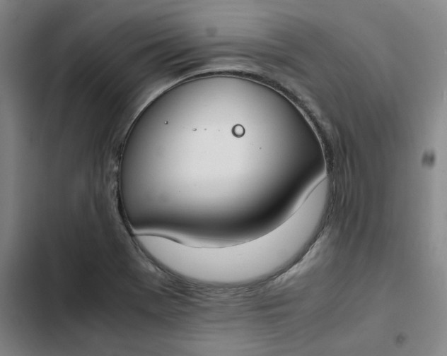 X0000102471369200808221633