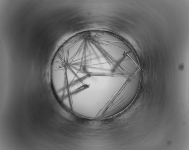 X0000102471371200808221633