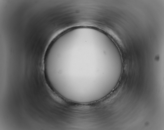 X0000102471372200808221633