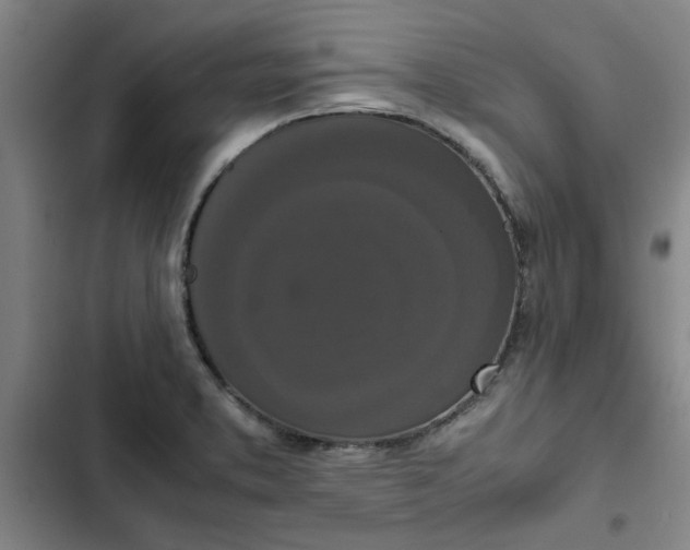 X0000102471373200808221633