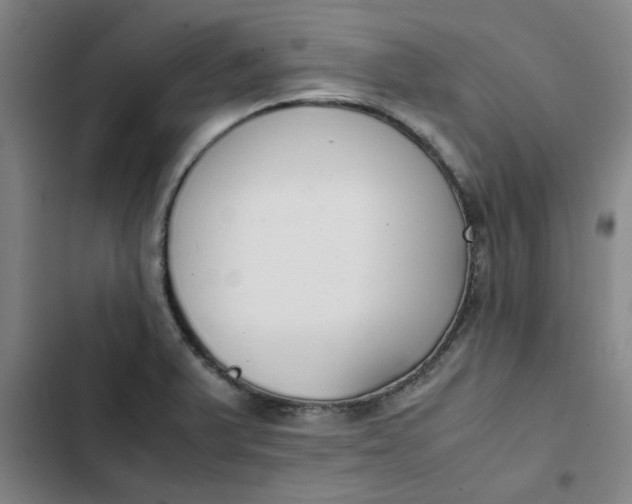 X0000102471375200808221633