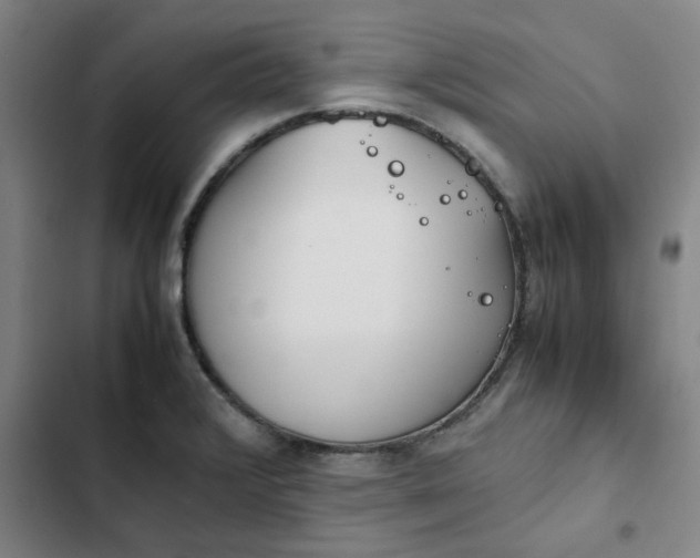 X0000102471376200808221633