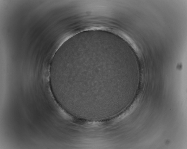X0000102471377200808221633