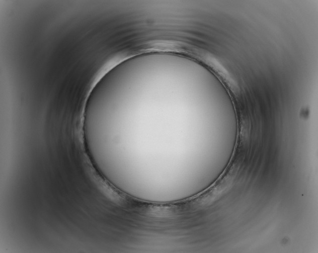 X0000102471378200808221633