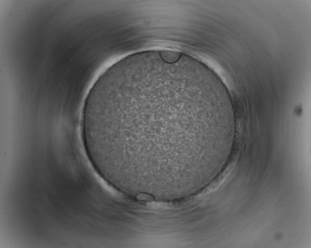 X0000102471379200808221633