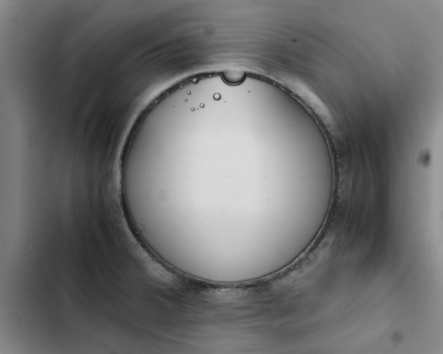 X0000102471380200808221633