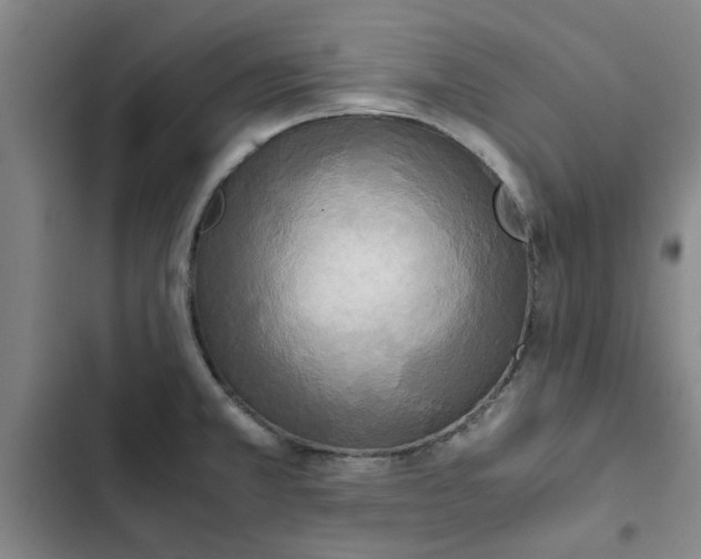 X0000102471381200808221633