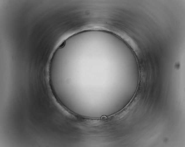 X0000102471382200808221633