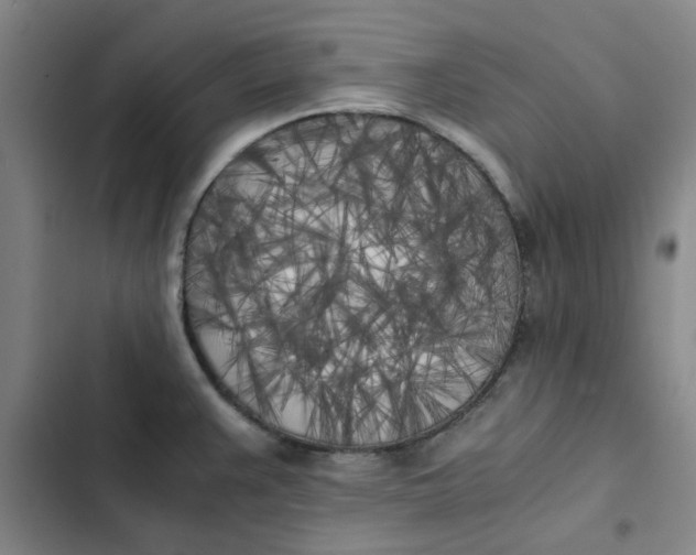 X0000102471383200808221633