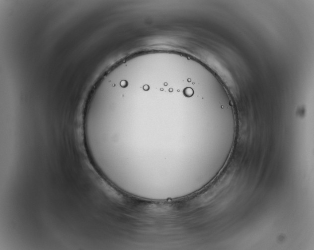 X0000102471384200808221633