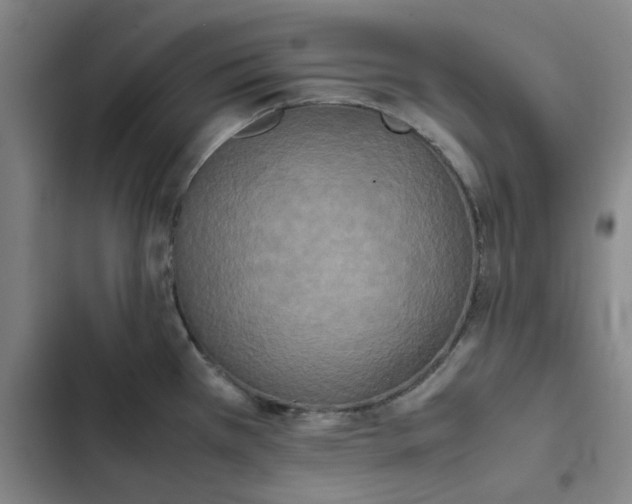 X0000102471385200808221633