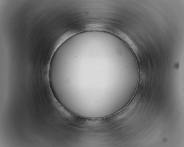 X0000102471386200808221633