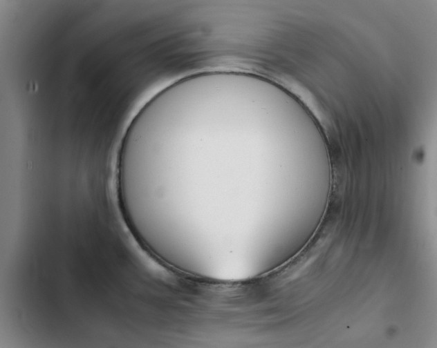 X0000102471387200808221633