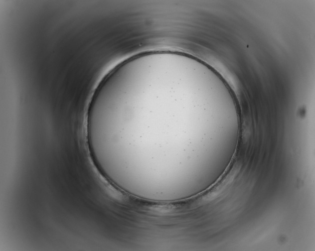 X0000102471388200808221633
