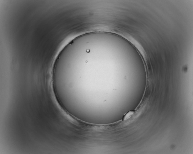 X0000102471389200808221633