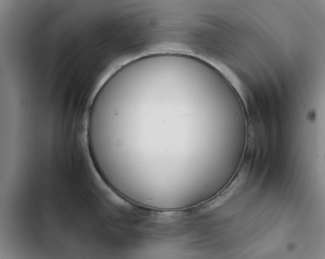X0000102471390200808221633