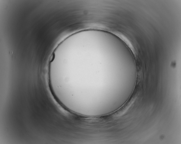 X0000102471391200808221633