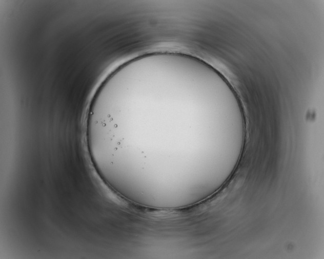 X0000102471392200808221633
