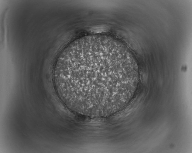 X0000102471393200808221632