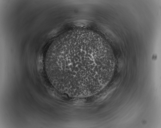 X0000102471394200808221632