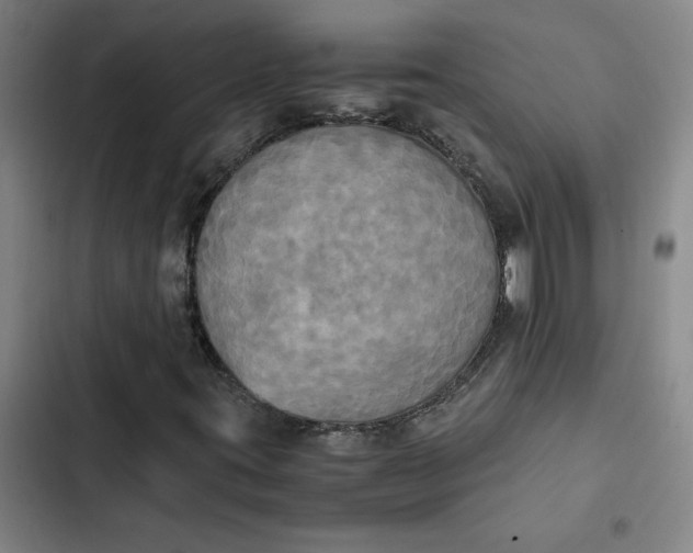X0000102471395200808221632