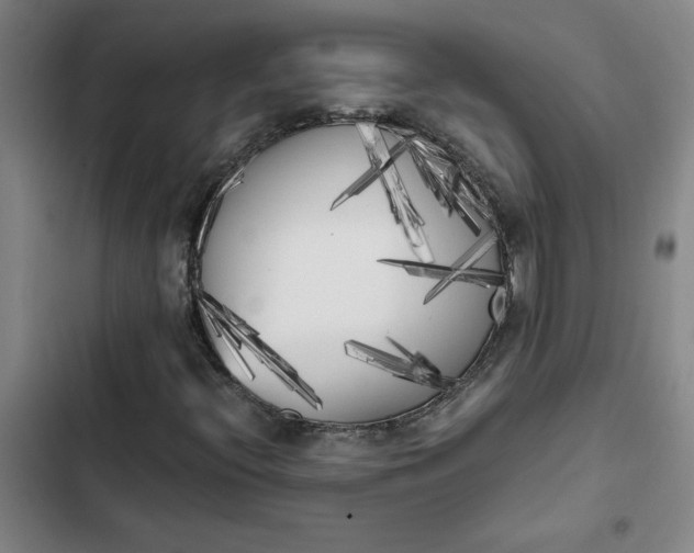 X0000102471396200808221632