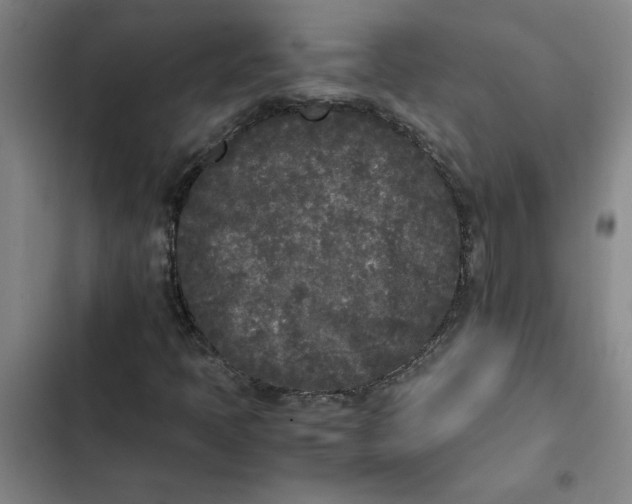 X0000102471397200808221632