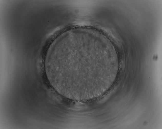 X0000102471398200808221632