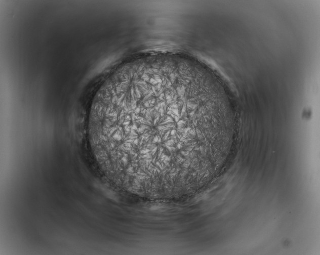 X0000102471399200808221632