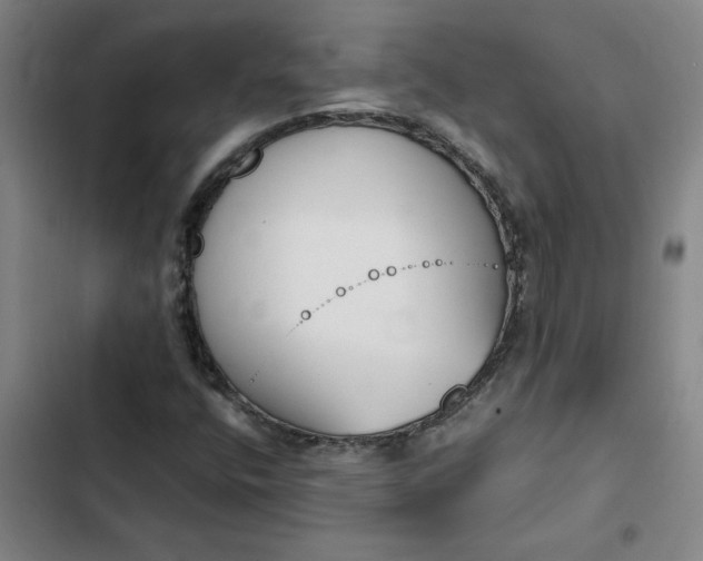 X0000102471400200808221632