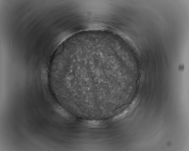 X0000102471401200808221632