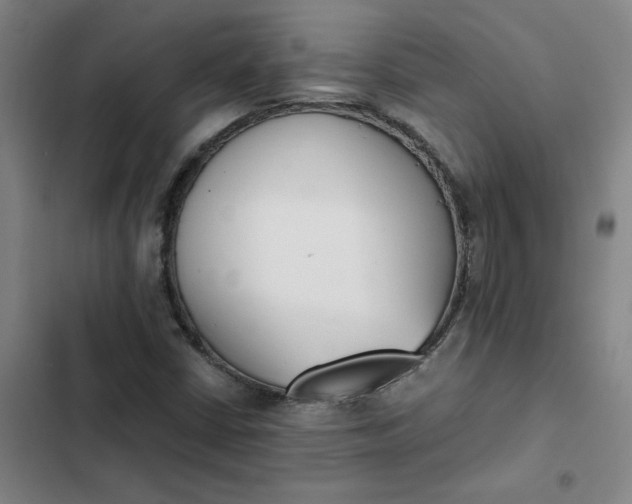X0000102471402200808221632