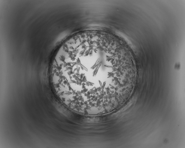 X0000102471403200808221632