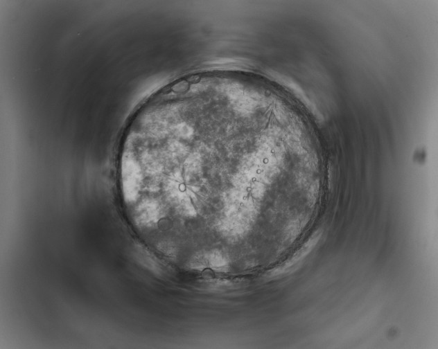 X0000102471405200808221632