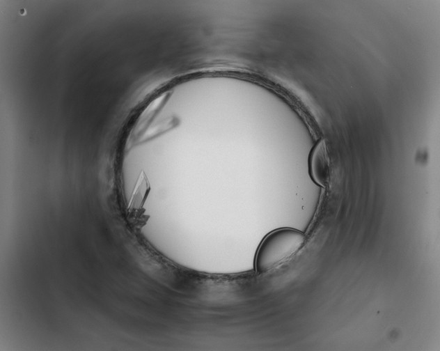 X0000102471407200808221632
