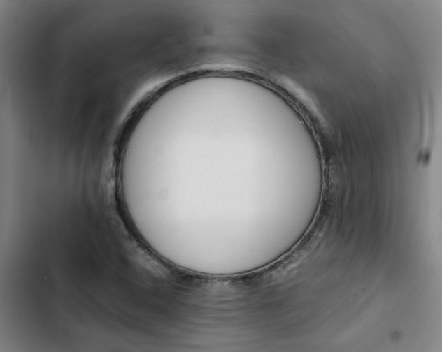 X0000102471408200808221632