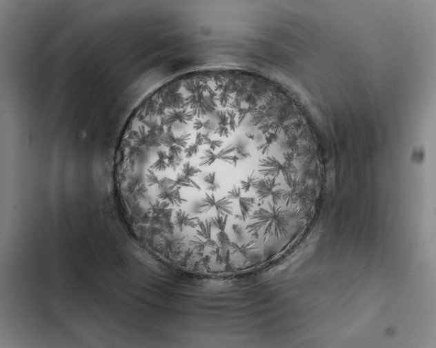 X0000102471409200808221632