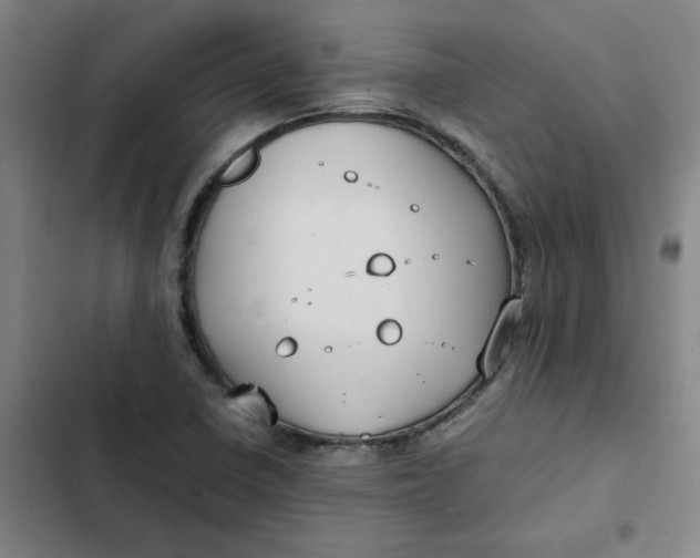 X0000102471410200808221632