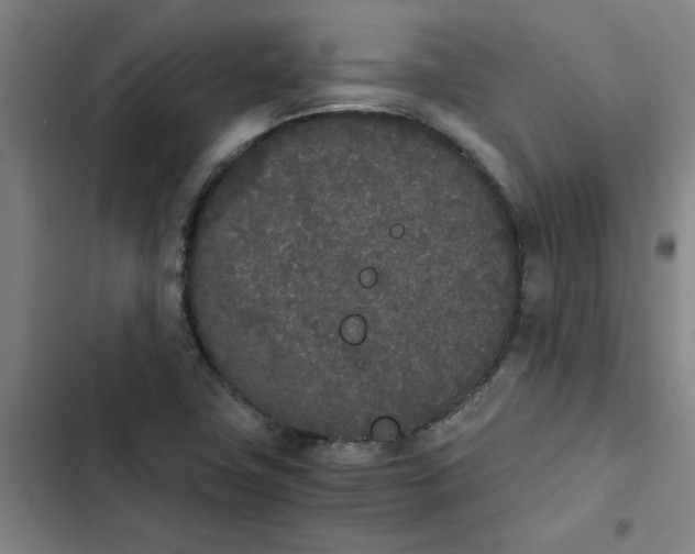 X0000102471411200808221632