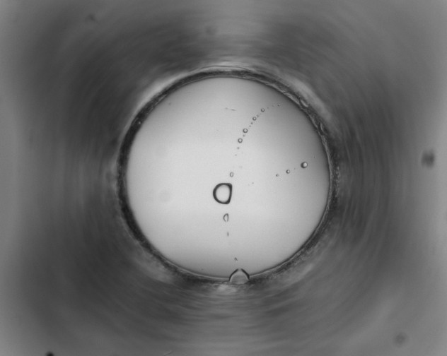 X0000102471412200808221632