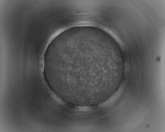 X0000102471413200808221632