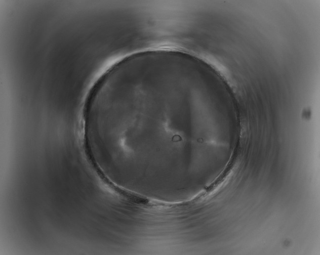 X0000102471414200808221632